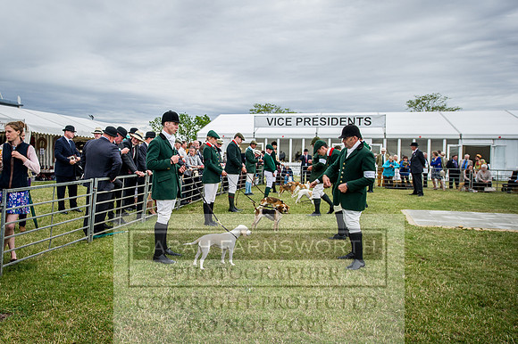 PFoH 2015-186
