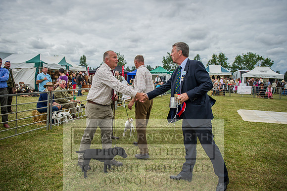 PFoH 2015-115