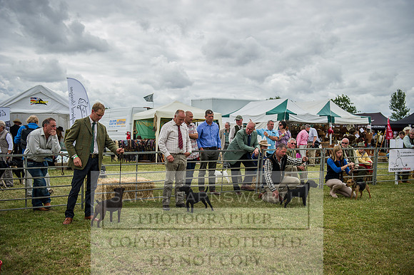 PFoH 2015-109