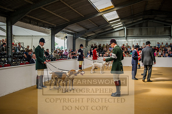 PFoH 2015-85