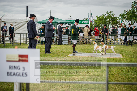 PFoH 2015-227