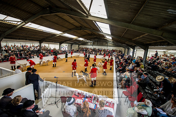 PFoH 2015-181