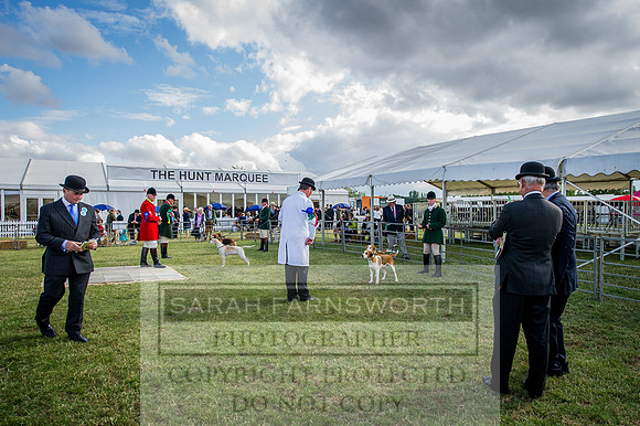 PFoH 2015-259