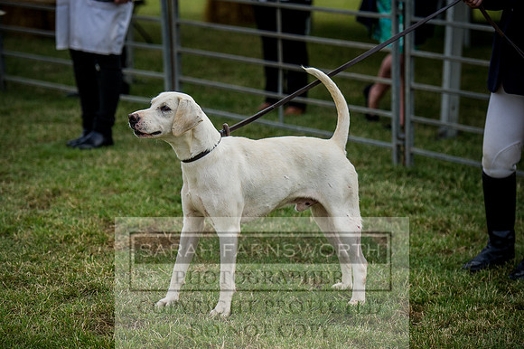 PFoH 2015-274