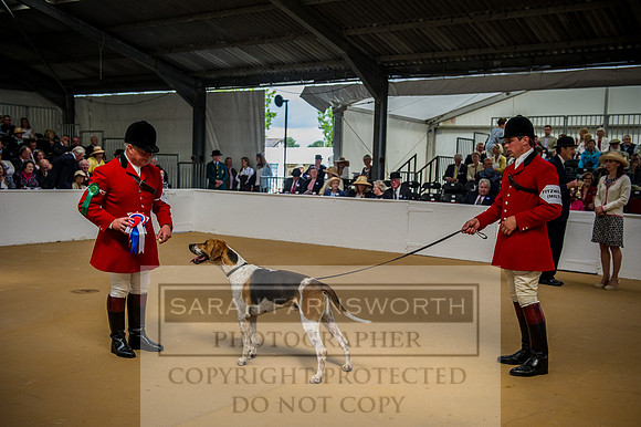 PFoH 2015-104