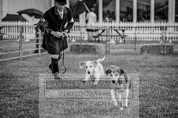 PFoH 2015-261 bw