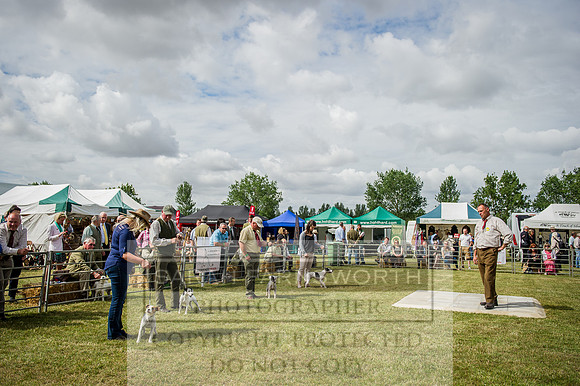 PFoH 2015-76