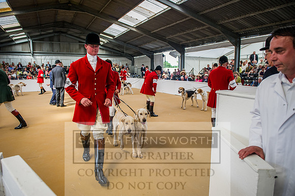 PFoH 2015-87