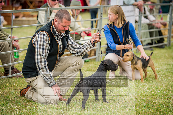 PFoH 2015-106