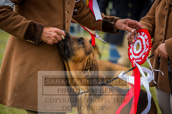 PFoH 2015-237