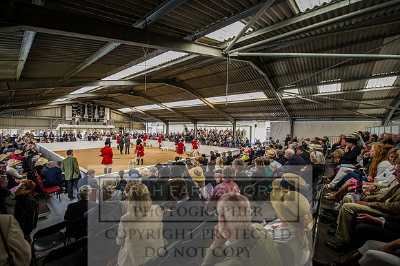 PFoH 2015-240