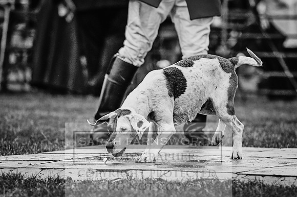 PFoH 2015-225 bw