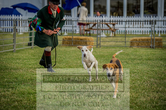 PFoH 2015-260