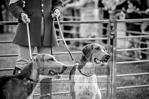 PFoH 2015-70 bw