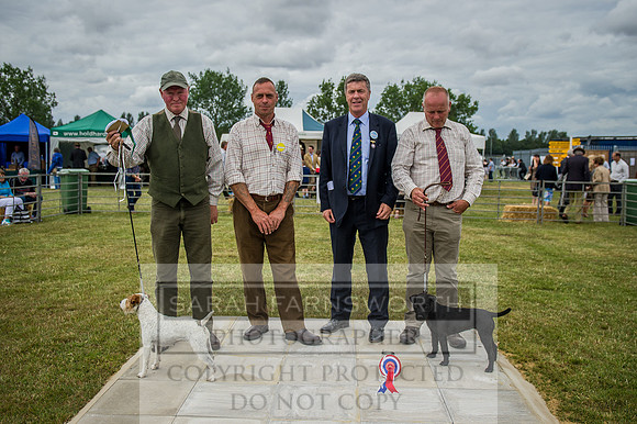 PFoH 2015-117