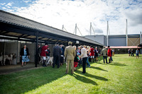 PFoH 2015-24