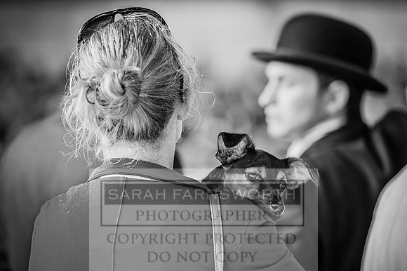 PFoH 2015-210 bw