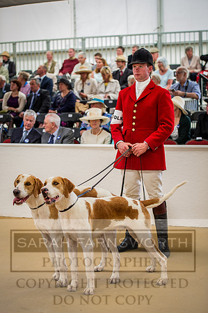 PFoH 2015-90
