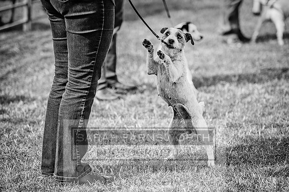 PFoH 2015-71 bw