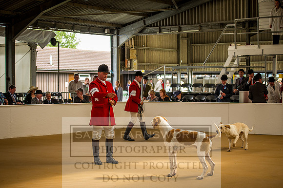 PFoH 2015-51