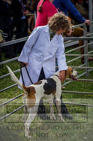 PFoH 2015-42