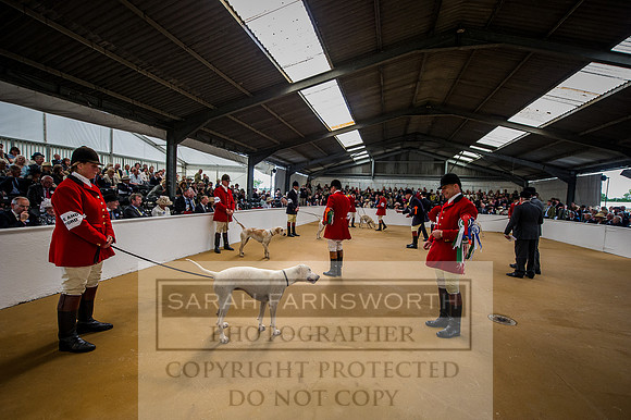 PFoH 2015-243
