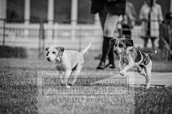 PFoH 2015-272 bw