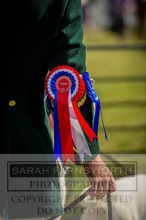 PFoH 2015-255