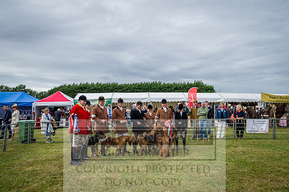 PFoH 2015-236