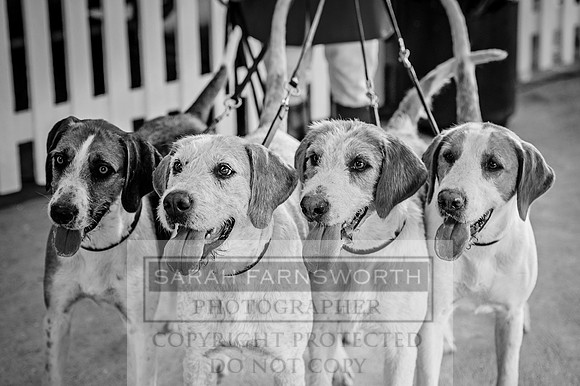 PFoH 2015-283 bw