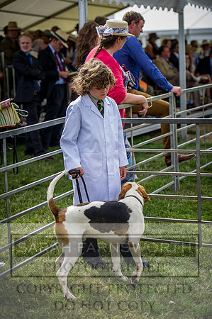 PFoH 2015-41