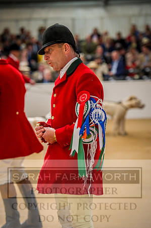 PFoH 2015-241
