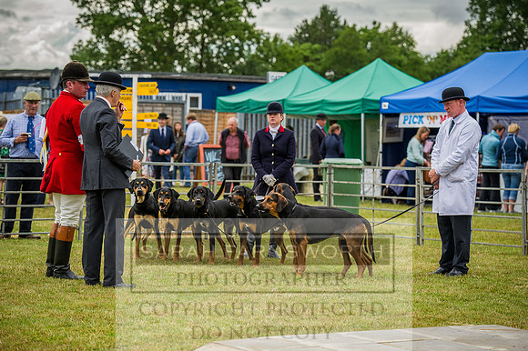 PFoH 2015-233