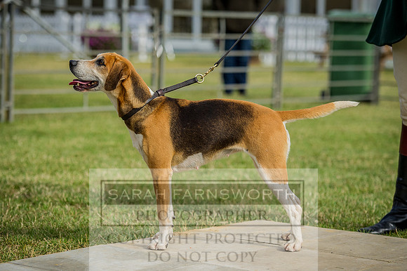 PFoH 2015-267