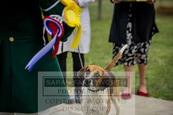 PFoH 2015-278