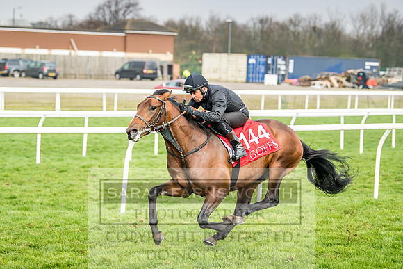 GUK Breeze Up 2018-199