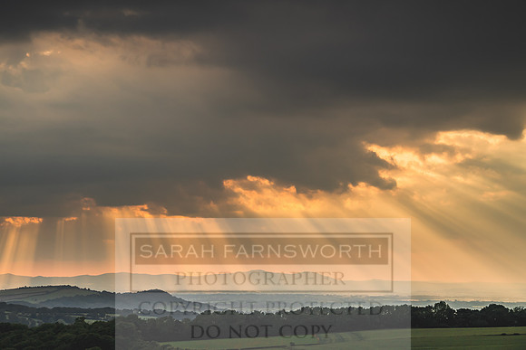 View to the Malverns-7
