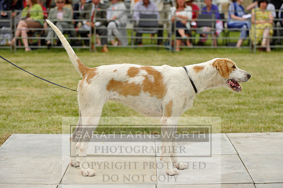 Builth 2014 CF1 663