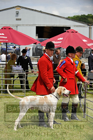 Builth 2014 CF1 475