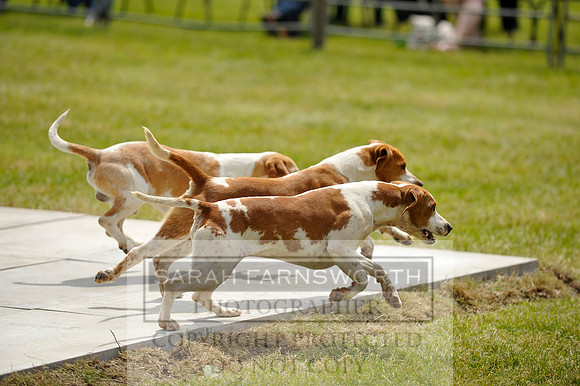 Builth 2014 CF1 461