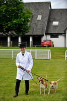 Builth 2014 CF1 120