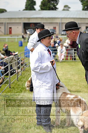 Builth 2014 CF1 317