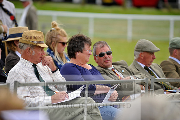 Builth 2014 CF1 598