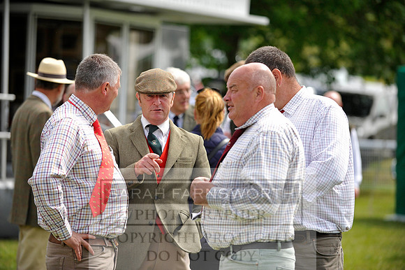 Builth 2014 CF1 293