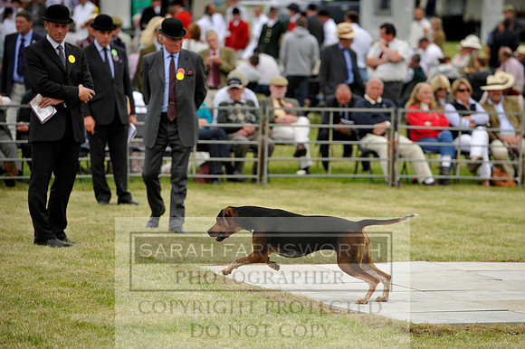 Builth 2014 CF1 630