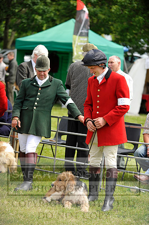 Builth 2014 CF1 301