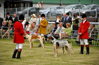 Builth 2014 CF1 067