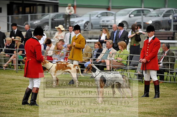 Builth 2014 CF1 067