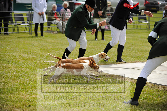 Builth 2014 CF1 457