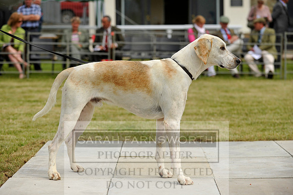 Builth 2014 CF1 088